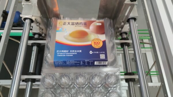 YCT-00 Egg tray lableing machine - Image 5